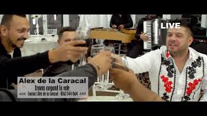 Alex de la caracal video : Alex De La Caracal Youtube Channel Analytics And Report Powered By Noxinfluencer Mobile