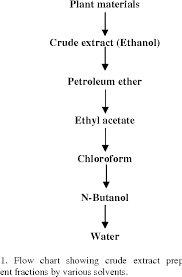 Figure 1 From Antimicrobial Potentials Of Fresh Allium Cepa