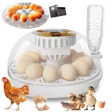 Caannasweis Egg Incubators 12 Eggs Chicken Incubators Farm Poultry Hatcher  Machine Automatic Egg Turning Temperature Control for Hatching Eggs