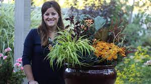 Fairy crassula, sedum, a loe vera, jade, devil's backbone, many different kinds of sansevieria (snake plant) and kalanchoe. Fall Shade Planter Youtube