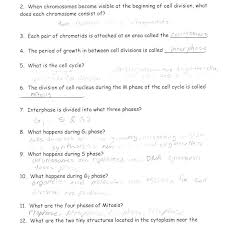 Functional the cell cycle coloring worksheet answers sheet 1. The Cell Cycle Worksheet Worksheet List