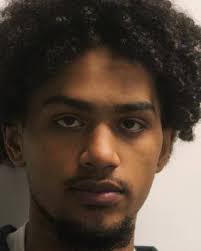 On September 16, 2020, members of the Rensselaer County Sheriff's Office,  with the assistance of the Troy Police Department and Drug Enforcement  Agency (DEA), conducted a narcotics search warrant at 300 9th