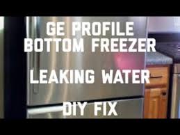 Ge Profile Bottom Freezer Leaking Easy Fix Youtube