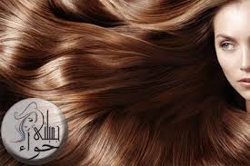 أفضل 5 وصفات طبيعية للعناية بالشعر hair care natural hair care long hair styles