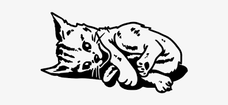 Dann kann ich euch helfen, zumindest kann ich es euch mit photoimpact erklären wie es gemacht wird. Wandtattoo Abessinier Suss Katze Katzchen Pfoten Tiere Free Transparent Png Download Pngkey