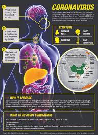 Image result for images of novel coronavirus