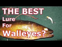 Maybe you would like to learn more about one of these? Pin On Walleye Fishing