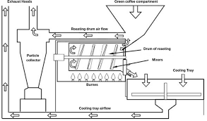 Roses are red, violets are blue, all humans are pretty, but what. Roasting Process Springerlink