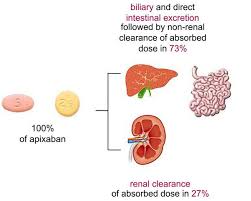 Describes the best time to take the drug and precautions if any that should be followed. Apixaban Metabolism Pharmacologic Properties And Drug Interactions Eurekalert Science News