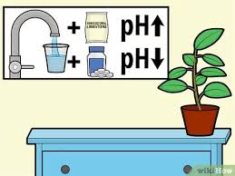 Alkaline water is the opposite of acidic water. 3 Ways To Adjust Water Ph Wikihow