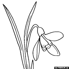 I think these would look lovely cut out and stuck along the bottom of a window to look like a window this flower design is one of our more detailed circle colouring pages, and we're sure the end result will be stunning! Single Flower Coloring Pages