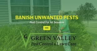 We service altamonte springs, apopka, longwood, mount dora, ocoee, orlando, plymouth, sorrento, winter garden, zellwood, and other. Pest Control Green Valley Pest Control Lawn Care