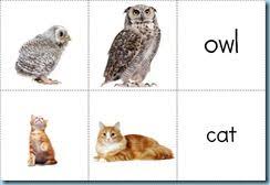 Maybe you would like to learn more about one of these? Mommy Baby Animals Matching Printables Free 1 1 1 1 Mother And Baby Animals Preschool Activities Toddler Animal Activities For Kids