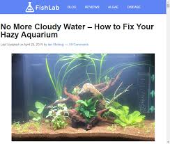 No More Cloudy Water How To Fix Your Hazy Aquarium In 2020 Aquarium Aquarium Sand Fish Tank