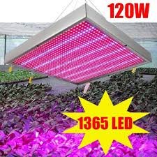 They are the best grow lights available for secondary or supplemental lighting (used in conjunction with natural sunlight). Buy 1365 Led Plant Grow Light Full Spectrum Grow Lights For Greenhouse Garden Indoor Plants At Affordable Prices Price 54 Usd Free Shipping Real Reviews With Photos Joom