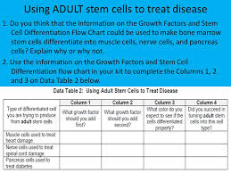 Stem Cells Could Stem Cells Be Used To Treat Disease If