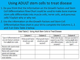 stem cells could stem cells be used to treat disease if