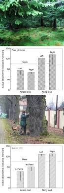Use our interactive store locator to search our 5,000+ locally owned stores to easily find the one nearest you. Cermak J Nadezhdina N Trcala M Simon J 2015 Open Field Applicable Instrumental Methods For Structural And Functional Assessment Of Whole Trees And Stands Iforest Biogeosciences And Forestry 8 226 278