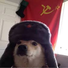 Comrade Dog Imgur Windoge 10 logo, microsoft windows, windows 10, memes, text, colored background.