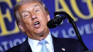 Canada Tonight's Sarah Galashan speaks with international criminal law  expert Mark Kersten