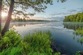 Das wort beginnt mit b und hat 8 buchstaben. Natur Und Landschaft In Schweden Ferienhauser Ferienwohnungen In Schweden 2020