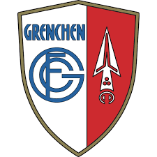 Demain, vendredi spécial fans avec le lancement de notre nouveau shop en ligne. Fc Sion Logo Download Logo Icon Png Svg