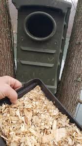 (remember, you will need a separate entrance for you to get into it). Stressless Wood Duck House Plans Built Installed With Predator Guard Buy Info The Ohio Outdoors