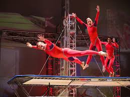 Image result for Streblochaete