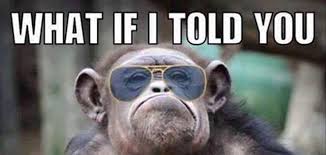 I hope you will love them. Best Funny Animals Pictures Topbestpics Com