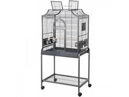 Cage perroquet amazone cage gris du gabon voliere perroquet - TouTyPasse.be