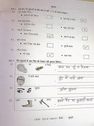 Hindi worksheets for class 1st and 2nd. Hindi Worksheets For Printable And Activities Teachers Parents Tutors Homeschool Families Hindi Worksheets For Grade 2 Cbse Worksheets Xtramath 2nd Grade Christmas Reading Passages Reader Rabbit Math Algebra Calculator Solve For X