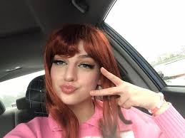 i bought a wig from spirit halloween to wear to grey day for the plot, but  my friends said it was a stupid idea😔 opinions?