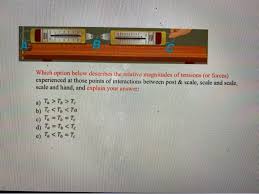 Experience points is a hub for environment art content. Solved Which Option Below Describes The Relative Magnitud Chegg Com