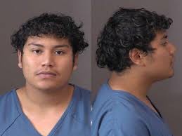 Saline County Jail Bookings, May 31