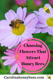 Maybe you would like to learn more about one of these? Choosing Flowers That Attract Bees Carolina Honeybees Bee Friendly Flowers Bee Keeping Bee Friendly Garden