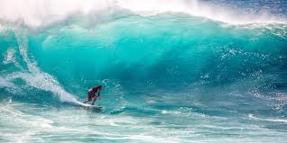 La unión is proud to be the first company worldwide in cucumber commercialization. San Juan La Union Surfing Beach 5 000 Pesos Budget Itinerary For 2 Persons Living And Loving Philippines