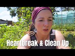 HEARTBREAK and CLEAN UP