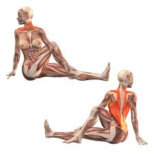 Right Twist With Right Leg Bent Marichyasana Right Yoga Poses Yoga Com Treinos De Ioga Yoga Posicoes Ioga