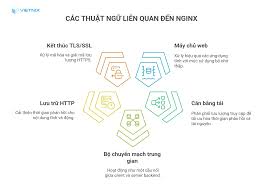 Cách cài đặt nginx trên Amazon linux 2023 nhanh nhất