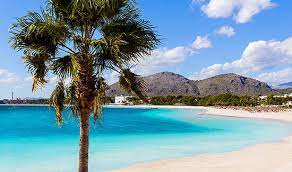 Последние твиты от alcúdia mallorca (@alcudiatourism). Hotels In Port D Alcudia Mallorca Js Hotels Official Website