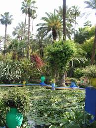 Morocco Jardin Majorelle Marrakech Jardins