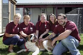 CVHS has new exec. director, development manager in Dover