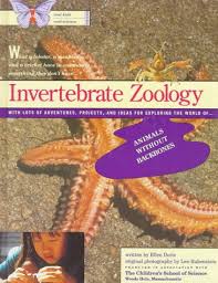 Work sheet on introduction to inverta brate : Free Printables And Unit Studies About Invertebrates Homeschool Giveaways