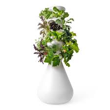 We have a wide selection of metal, glass, wooden, acrylic, and plastic trays for every room in your home. Lettuce Grow The Farmstand