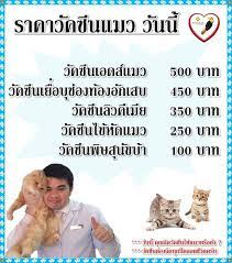 → วัคซีนลิวคีเมียแมว 350 บาท (ปีแรกฉีด 2 ครั้ง) Facebook