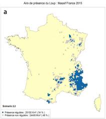 Et surtout participé au match svp !! Un Rapport Scientifique Estime Que Trop De Loups Sont Tues En France Sciences Et Avenir