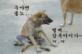 We did not find results for: ë³µë‚ ì¸ì‚¬ë§ ì¤'ë³µì¸ì‚¬ë§ Best5 ì•Œì•„ë³´ê¸°