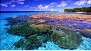 Jangankan dirusak, diambil sebuah saja, maka rusaklah keutuhannya. Pengertian Ekonomi Maritim Definisi Dan Contoh Ekonomi Maritim