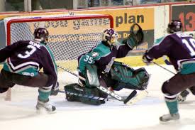 On olympic day, we spotlight hockey stars who played other sports. Goal Ice Hockey Wikipedia