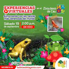 Archivo de noticias en colombia y el mundo sobre cali hoy. Hoy A Las 2 00 P M En Vivo Zoologico De Cali Facebook